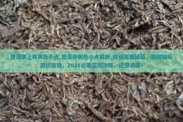 普洱茶上有黄色小点