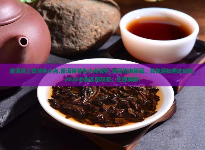 普洱茶上有黄色小点