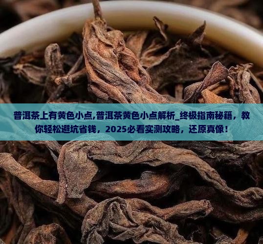 普洱茶上有黄色小点