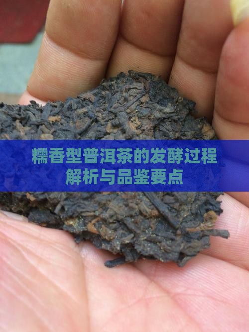 糯香型普洱茶的发酵过程