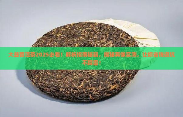 大益普洱茶时代周报