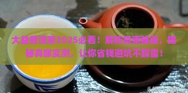 大益普洱茶时代周报