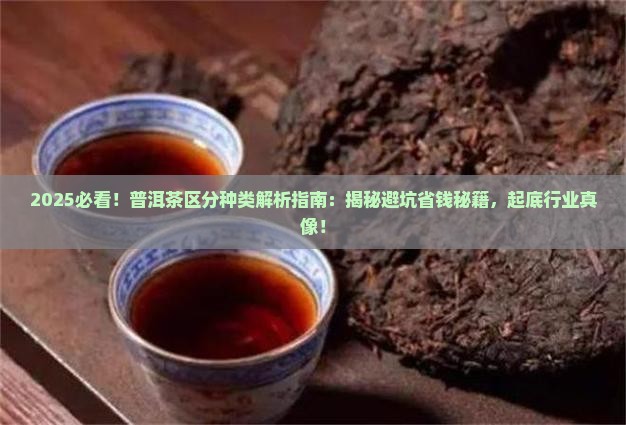 普洱茶的区分种类