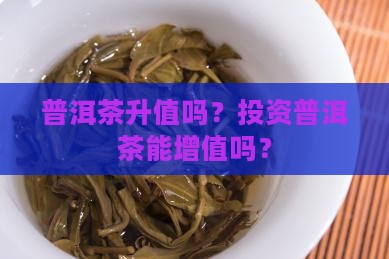 买熟普洱茶可以增值嘛