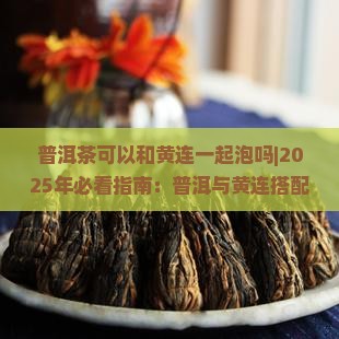 普洱茶可以和黄连一起泡吗 普洱茶可以和黄连一起泡吗