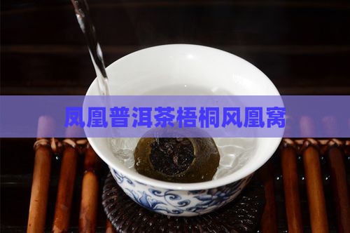 风凰窝普洱茶梧桐
