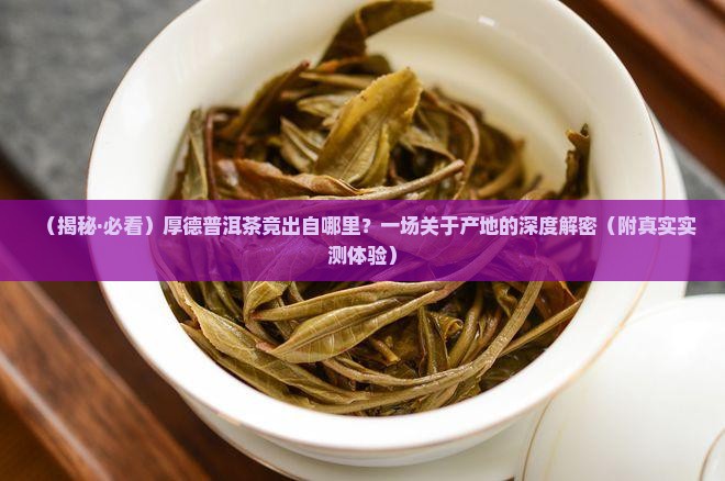 厚德普洱茶是哪家的产地