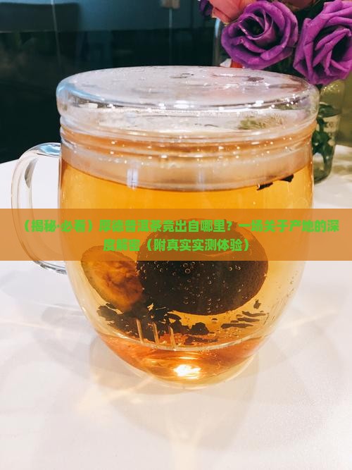 厚德普洱茶是哪家的产地