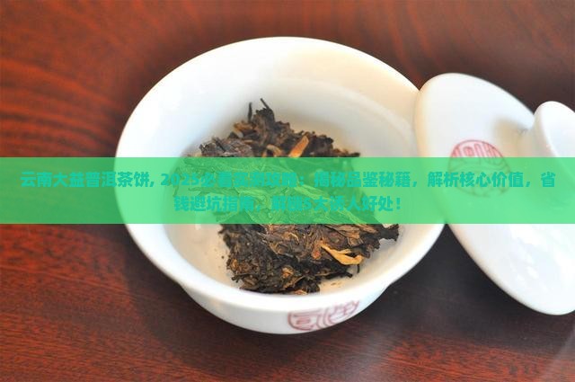云南大益普洱茶饼