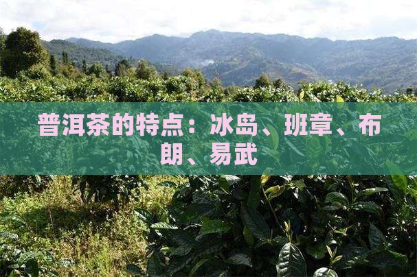 冰岛班章布朗易武 冰岛班章布朗易武