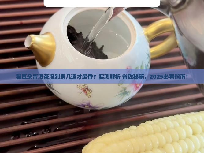 猫耳朵普洱茶可以泡几道