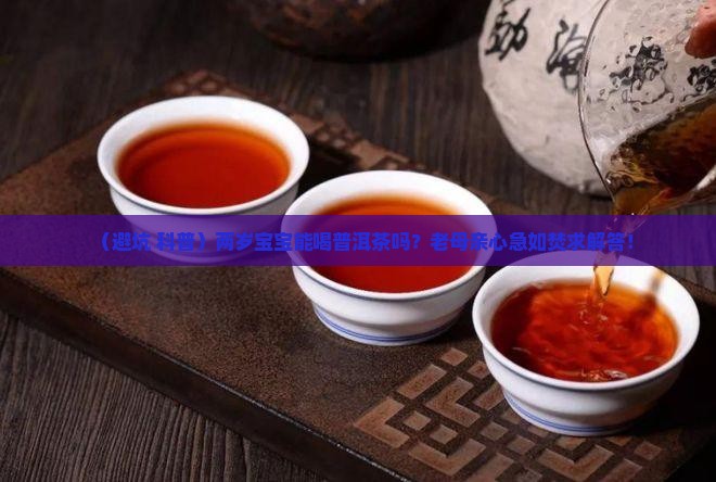 两岁可以喝普洱茶么