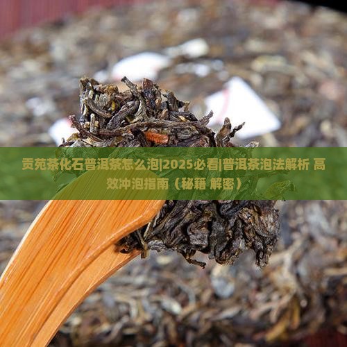 贡苑茶化石普洱茶怎么泡