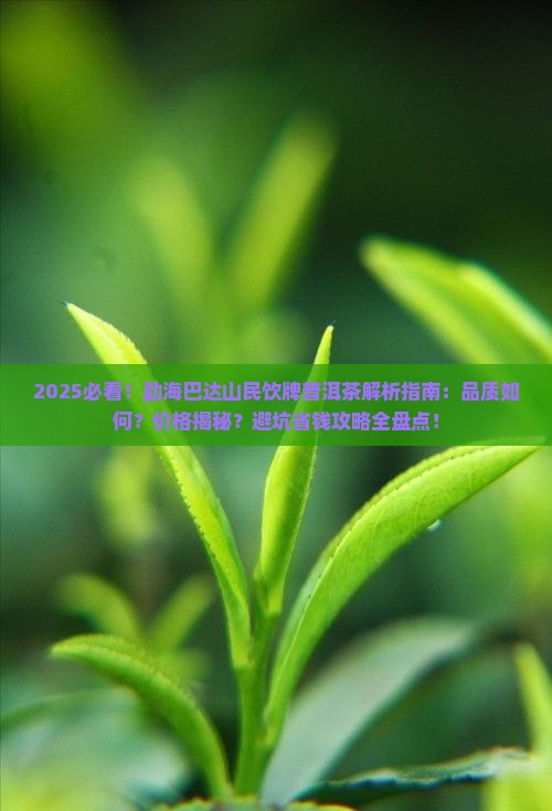 勐海巴达山民饮牌普洱茶