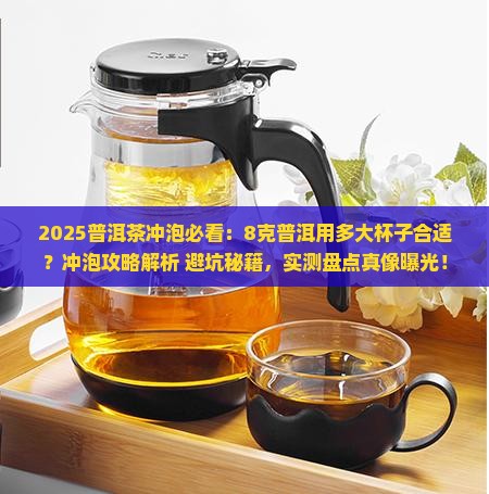 8克普洱茶用多大杯子