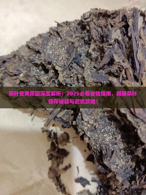 茶叶为什么变黄