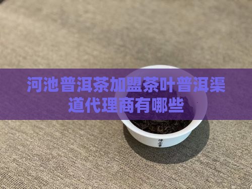 河池普洱茶渠道代理商有哪些