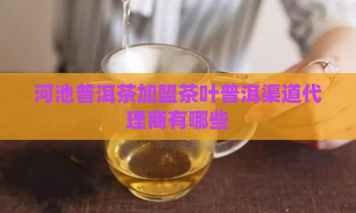 河池普洱茶渠道代理商有哪些