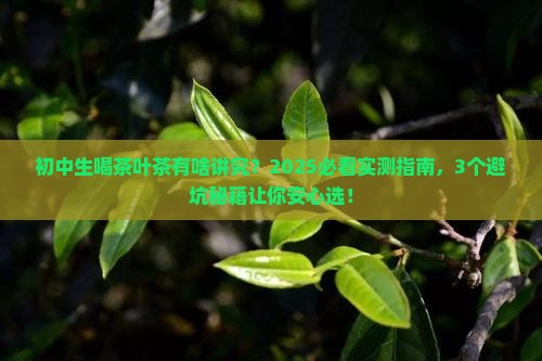 初中生可以喝茶叶茶吗