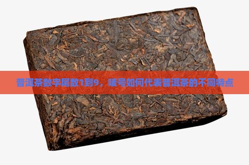 普洱茶数字尾数1到9