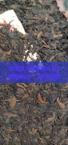 普洱茶为何不能久泡