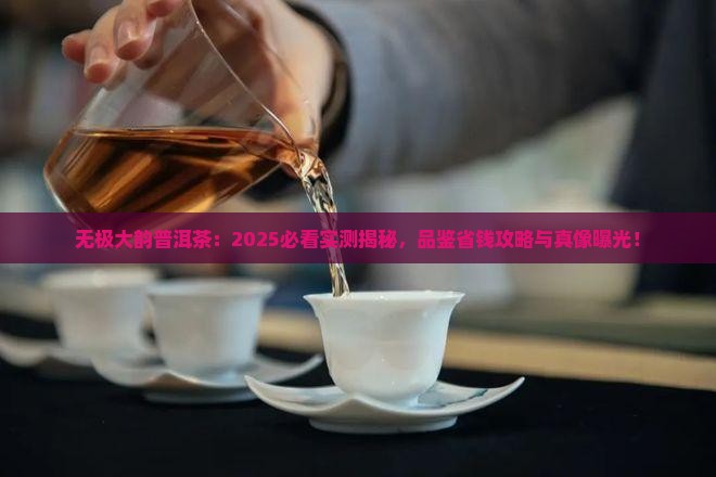 无极大韵普洱茶