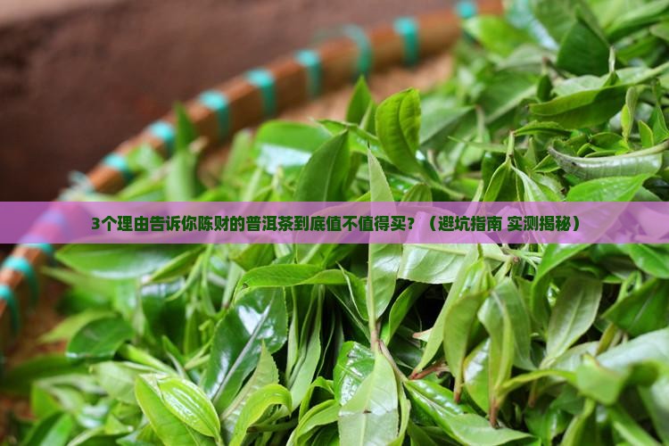陈财的普洱茶怎么样
