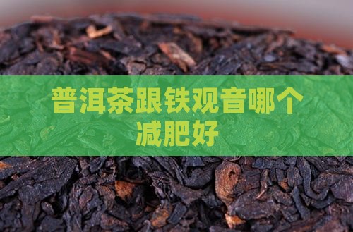 普洱茶跟铁观音哪个减肥好
