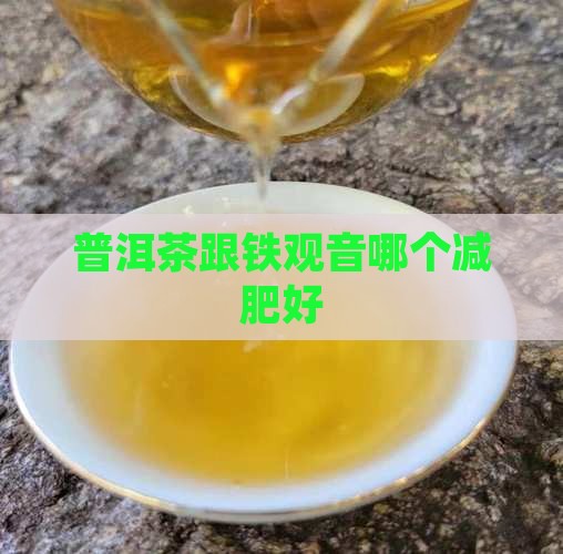 普洱茶跟铁观音哪个减肥好