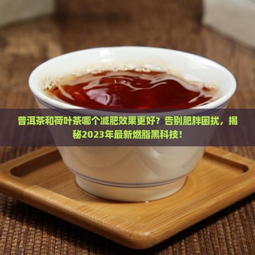 普洱茶和荷叶茶哪个减肥效果好