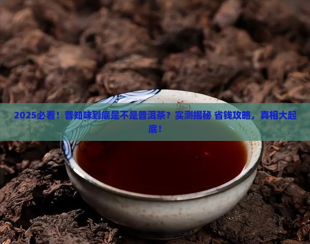 普知味是普洱茶吗