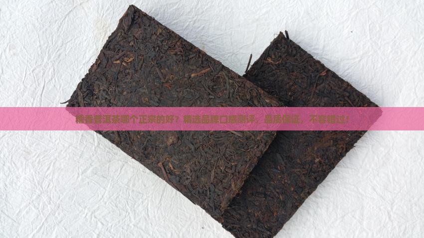 糯香普洱茶哪个正宗的好