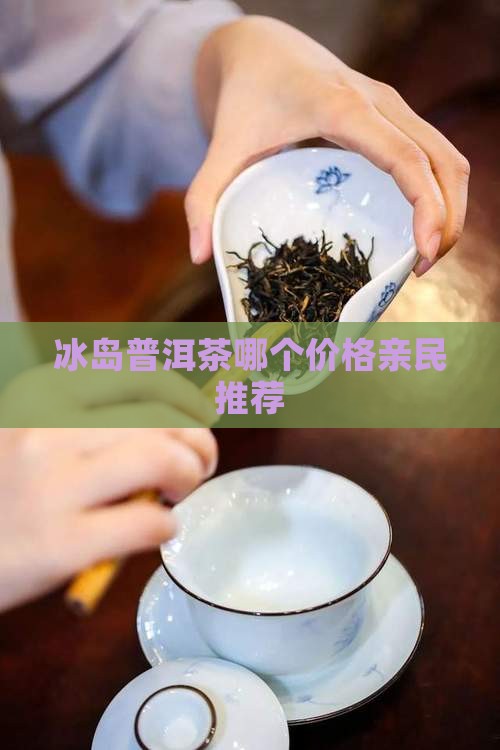 冰岛茶哪个价格亲民
