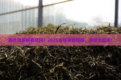 茶叶要不要交消费税