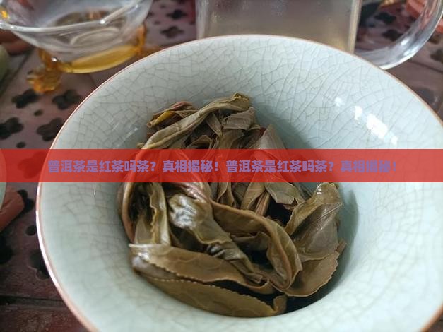 普洱茶是红茶吗茶