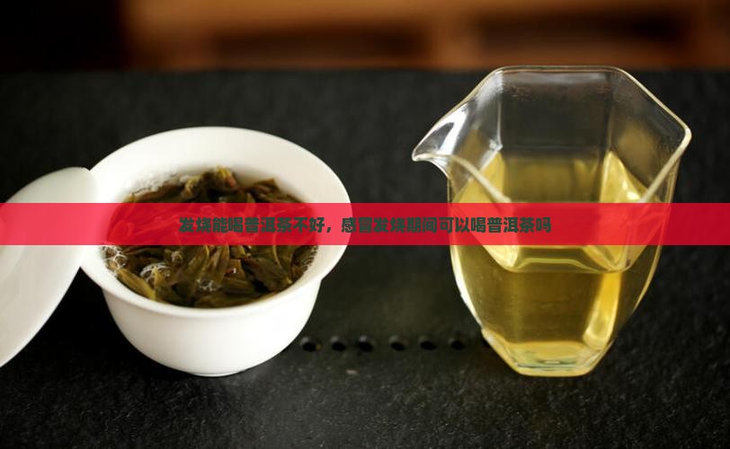 发烧能喝普洱茶不好