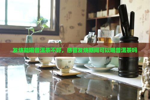 发烧能喝普洱茶不好