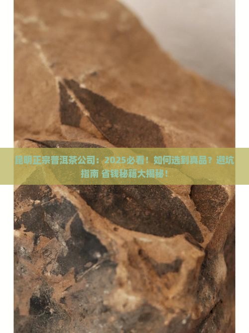 昆明正宗普洱茶公司