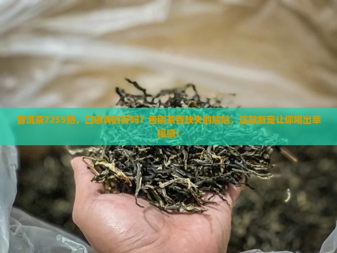 普洱茶7255熟