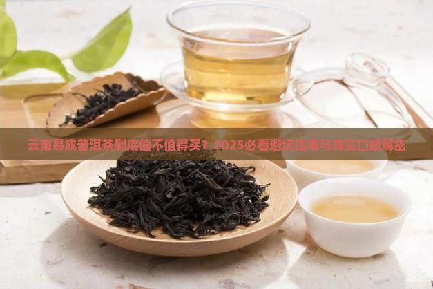 云南易成普洱茶