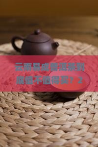 云南易成普洱茶