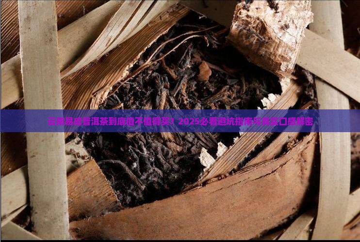 云南易成普洱茶