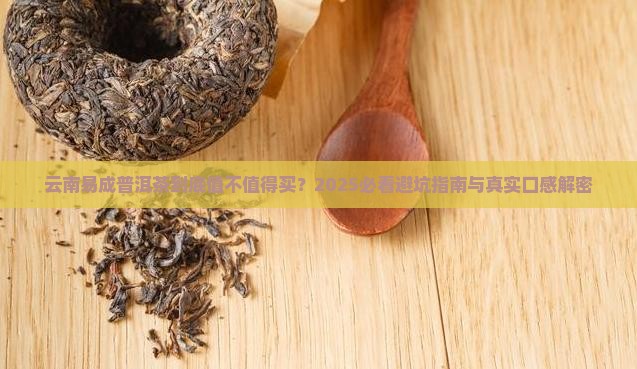 云南易成普洱茶
