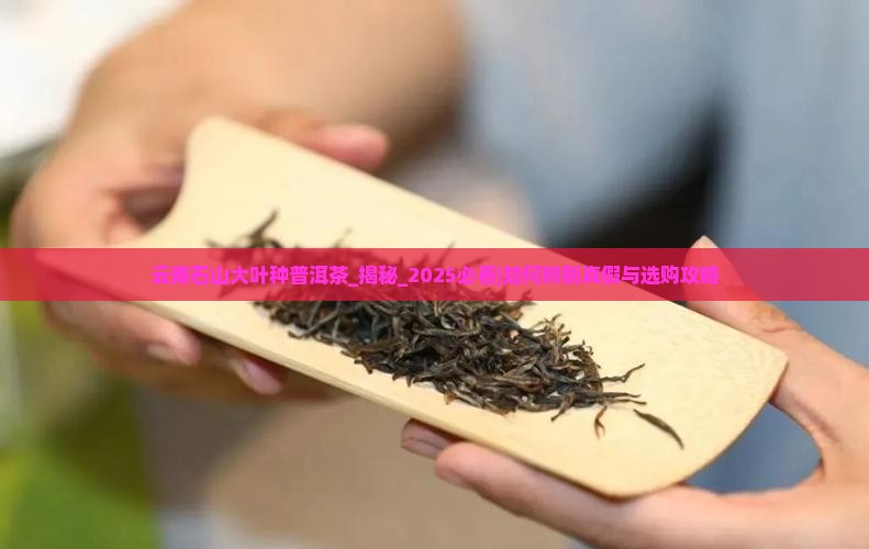 云南石山大叶种普洱茶