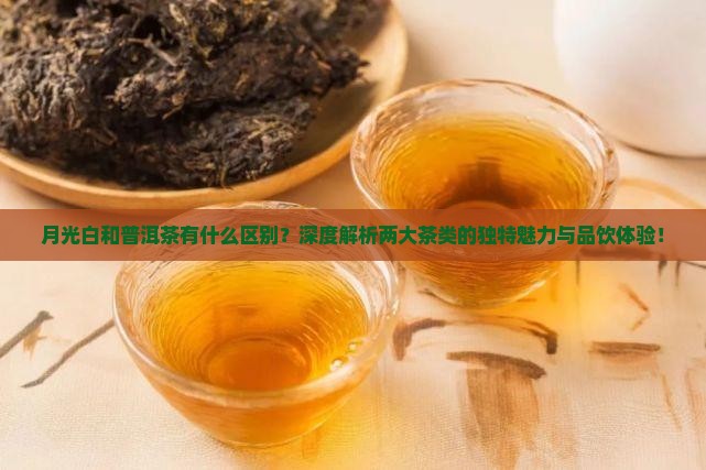 月光白和普洱茶有什么区别