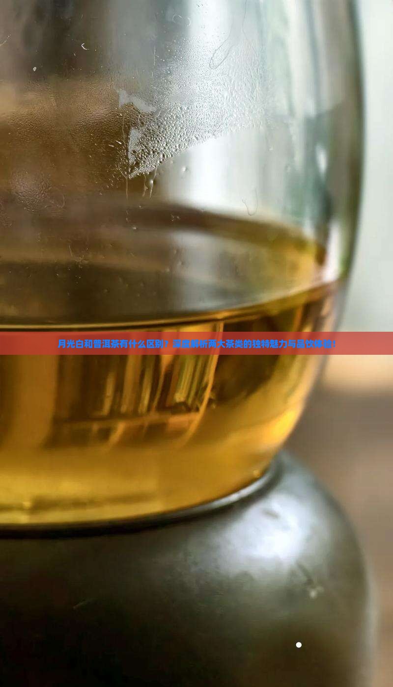 月光白和普洱茶有什么区别
