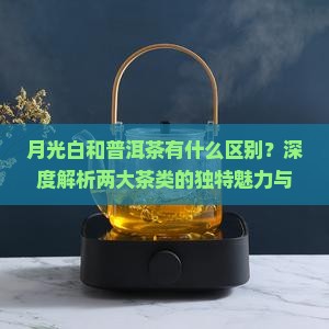 月光白和普洱茶有什么区别