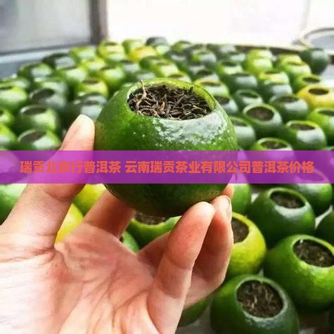 瑞贡北京行普洱茶
