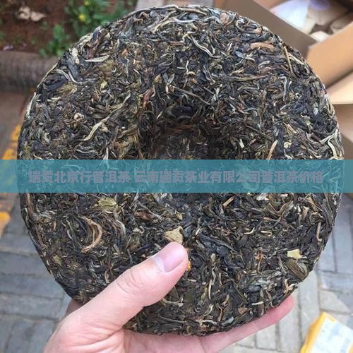 瑞贡北京行普洱茶