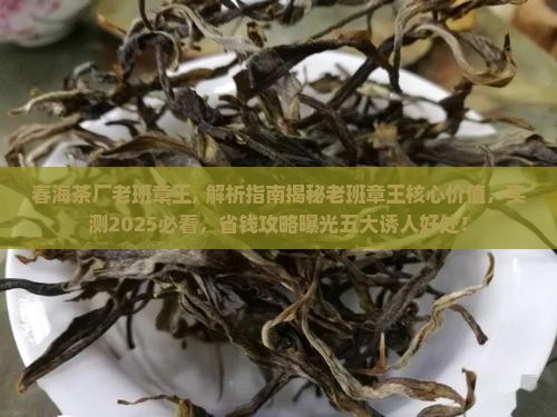 春海茶厂老班章王
